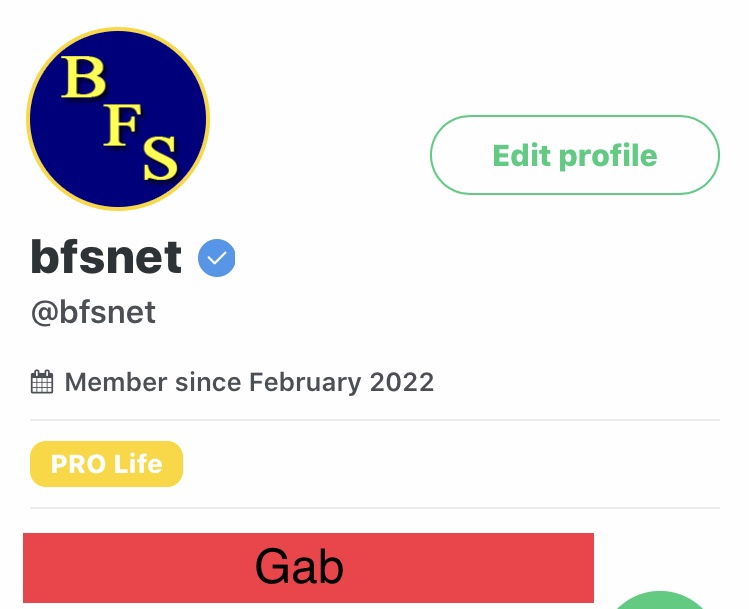 bfsnet.com on Gab